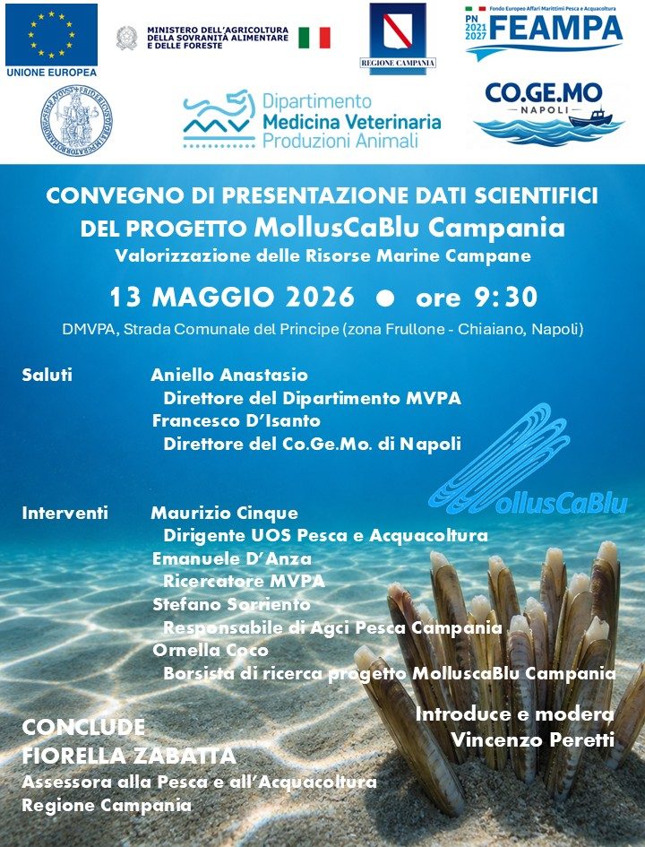 Napoli, il 13 maggio il convegno sui risultati scientifici del progetto MolluscaBlu Campania